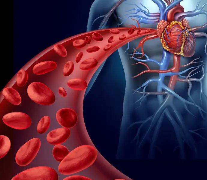 Supreme Artery Principle