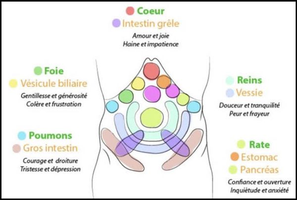 Abdominale 1024x689