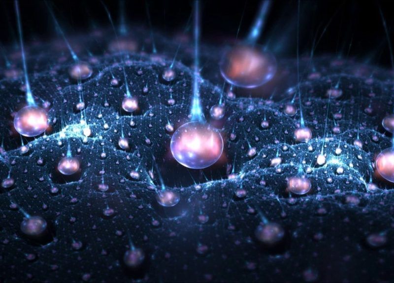 Neuropeptide 1024x576