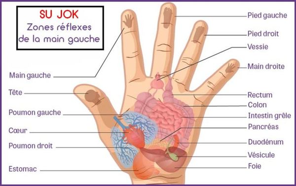 Su Jok 1024x643